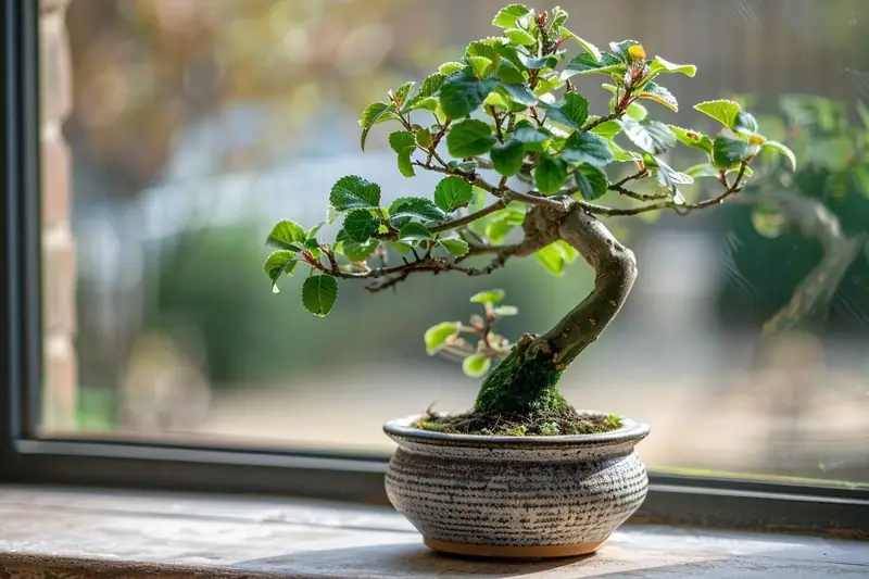 Petit arbre aux feuilles vertes dans un pot strié posé devant une fenêtre