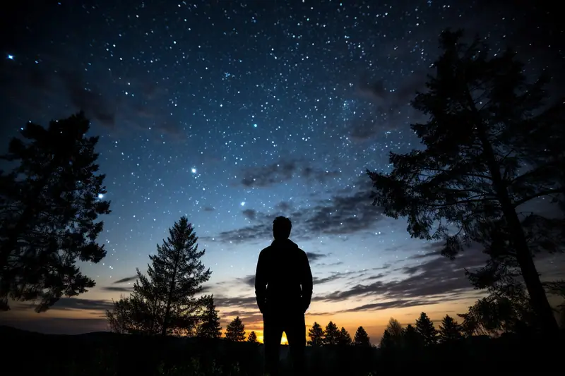 Silhouette d’une personne face à un ciel étoilé, encadrée par des pins sombres au crépuscule