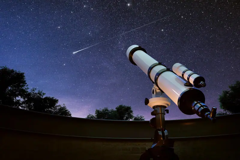 Télescope blanc orienté vers un ciel nocturne étoilé au-dessus de silhouettes d’arbres noirs